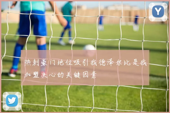 热刺豪门地位吸引我德泽尔比是我加盟决心的关键因素